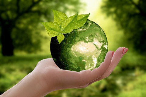 Environmental and Sustainability Job, Internship & Volunteer Search Resources